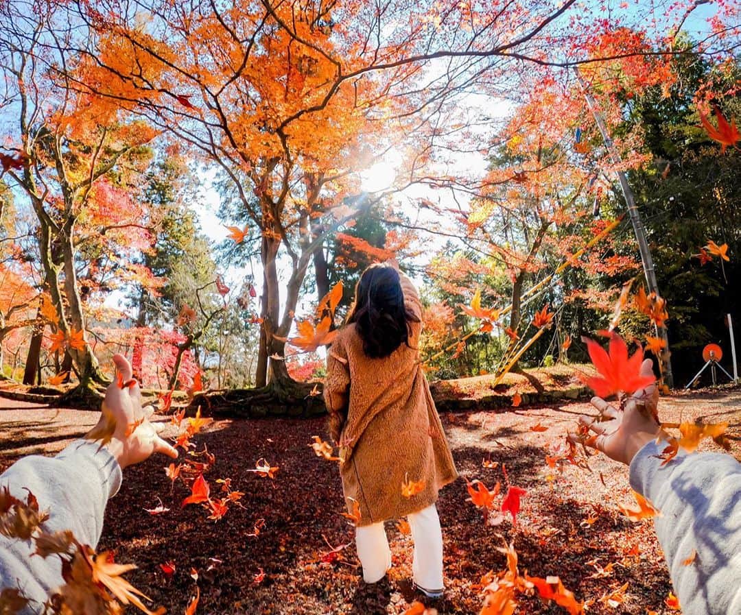 GoProさんのインスタグラム写真 - (GoProInstagram)「そろそろ #紅葉終わり 🍂🍁 2人で一緒に2019年秋の見納め。 📷 @gopro.yudai ・ ・ ・ #GoPro #GoProJP #GoProのある生活 #秋 #紅葉 #AutumnLeaves」12月12日 17時00分 - goprojp