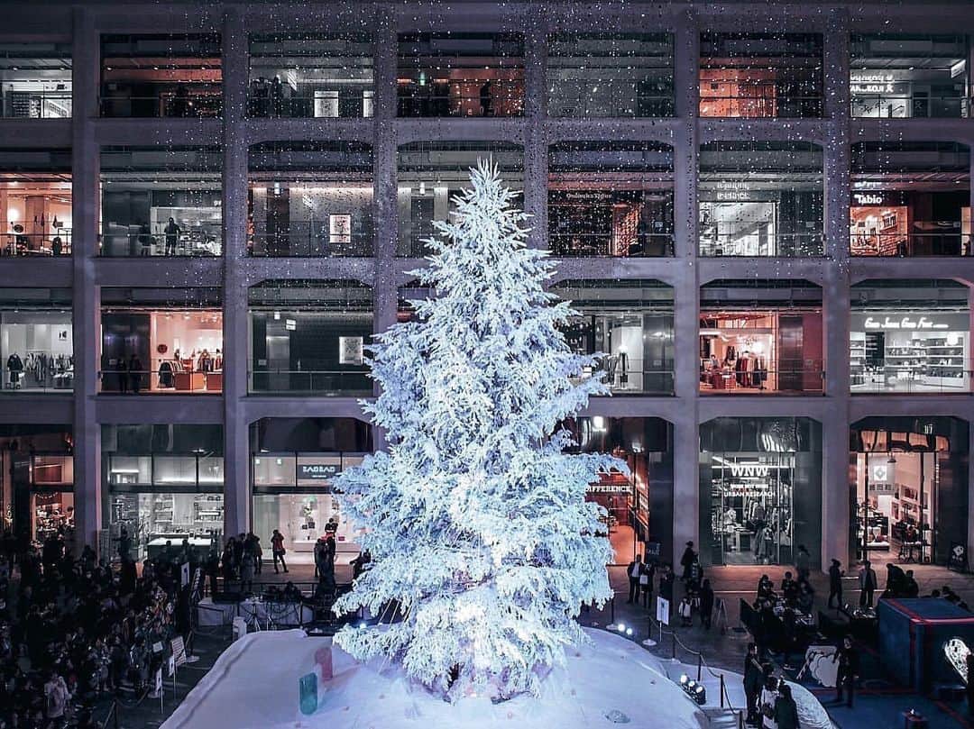 aumoさんのインスタグラム写真 - (aumoInstagram)「【#イルミネーション2019×#東京カメラ部】. 東京都丸の内にある「#KITTE」にて撮影されたお写真💫 お店を背景にそびえ立つ大きなクリスマスツリーは圧巻🌲❄️ ショッピングをしながらクリスマス気分が味わえます❤️. . Credit：@88._.ty さん 素敵なお写真をありがとうございます！ . あなたが撮影した素敵な写真に 「#aumo」を付けて教えてください♡ あなたの投稿が明日紹介されるかも♪ . aumoアプリは毎日配信！おでかけや最新グルメなどaumo読者が気になる情報が満載♡ ダウンロードはプロフィールのURLから✔︎ (iPhone&Android版) . . #丸の内#イルミネーション#丸の内イルミネーション #八重洲 #インスタ映え #インスタ探検隊 #女子旅#絶景#旅#東京散歩 #team_jp_ #igersjp #japan_daytime_view #wu_japan  #bestjapanpics #japan_of_insta #art_of_japan_ #ptk_japan #photo_jpn #lovers_nippon #tokyocameraclub #あなたとみたい景色#フォトジェニック」12月12日 17時14分 - aumo.jp