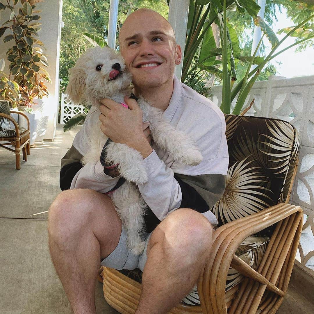 ブランドン・シェイアのインスタグラム：「What would I have done without this angel? 🐶」