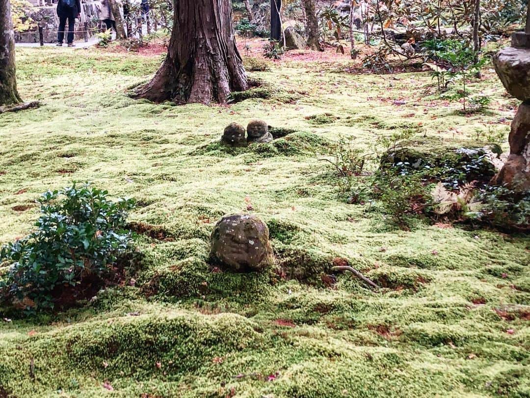 前田彩名のグルメインスタ