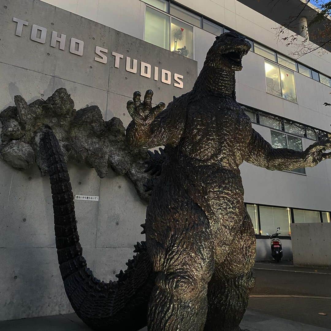 稲木ジョージのインスタグラム：「GODZILLA 🌋」