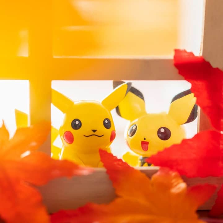 のインスタグラム：「【今日のピカチュウ】 ピカチュウとピチューは窓の外を眺めているよ☺ 何が見えるかな👀❓ #pikachu #pichu #pokemon #pikachu_snap #photooftheday #window #maple #autumn #fall #ピカチュウ #ピチュー #窓 #紅葉 #秋」