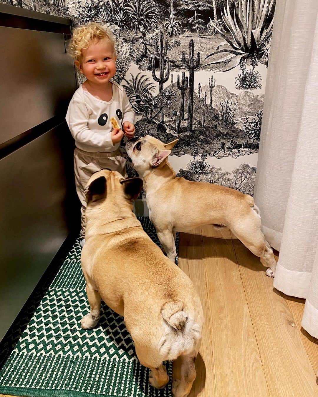 キアラ・フェラーニさんのインスタグラム写真 - (キアラ・フェラーニInstagram)「Baby and doggies: anything cuter? 💞」11月18日 17時54分 - chiaraferragni
