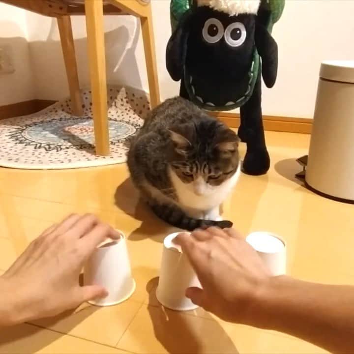 スノーのインスタグラム