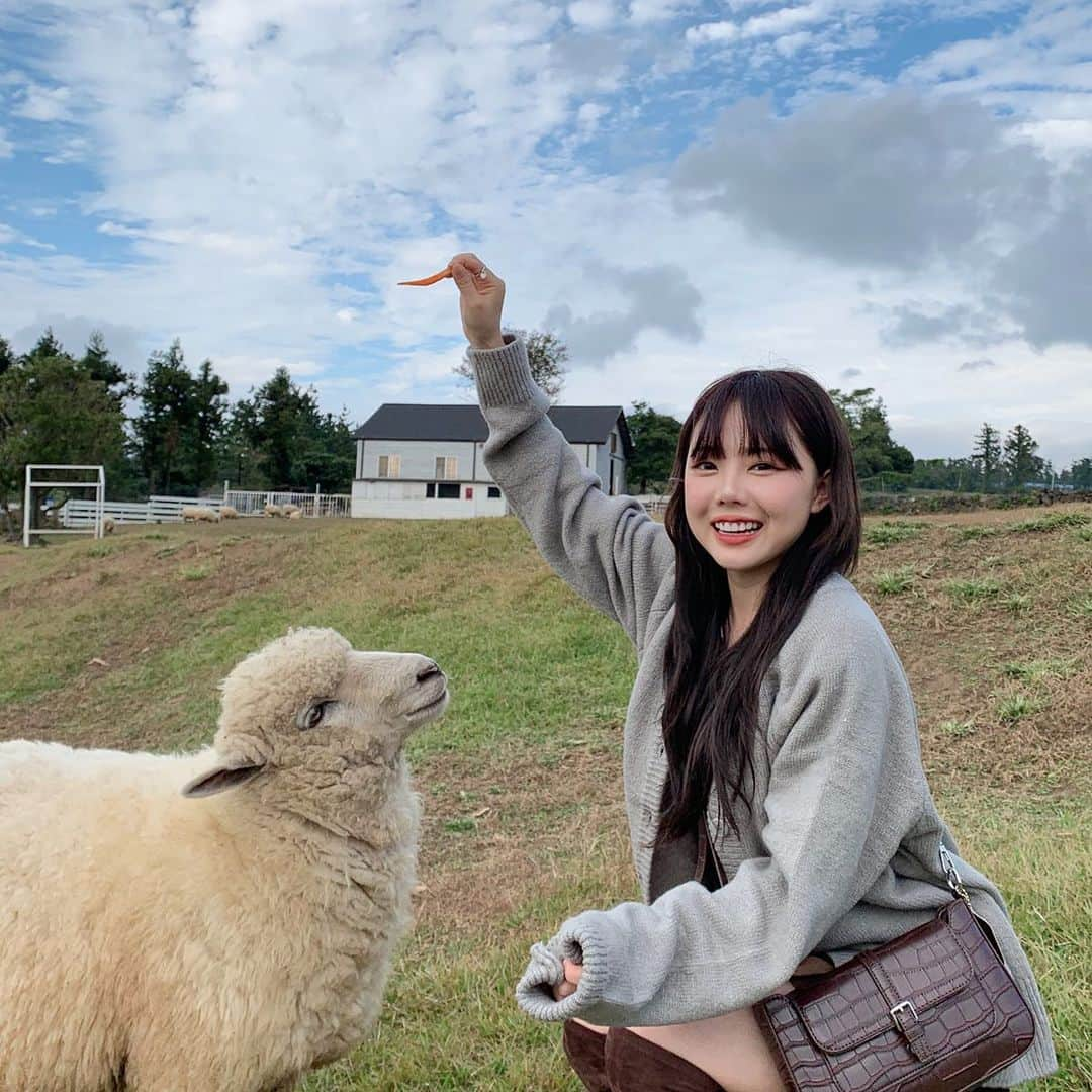 ホン・ヨンギさんのインスタグラム写真 - (ホン・ヨンギInstagram)「제발 ㅠㅠㅠㅠ무서웡 ㅠㅠ  극뽁해야햇🐑🐑🐑」11月18日 18時52分 - kisy0729