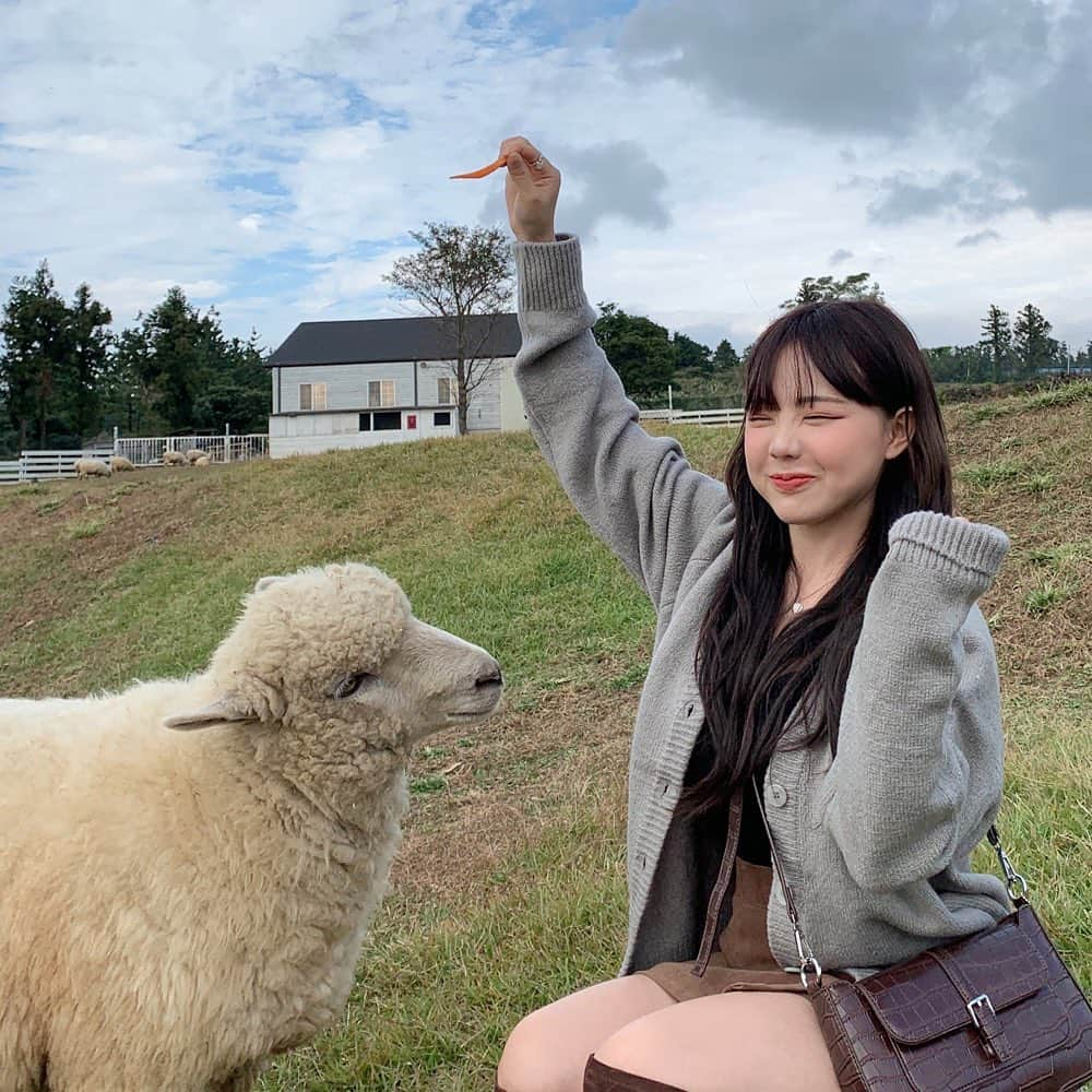 ホン・ヨンギさんのインスタグラム写真 - (ホン・ヨンギInstagram)「제발 ㅠㅠㅠㅠ무서웡 ㅠㅠ  극뽁해야햇🐑🐑🐑」11月18日 18時52分 - kisy0729