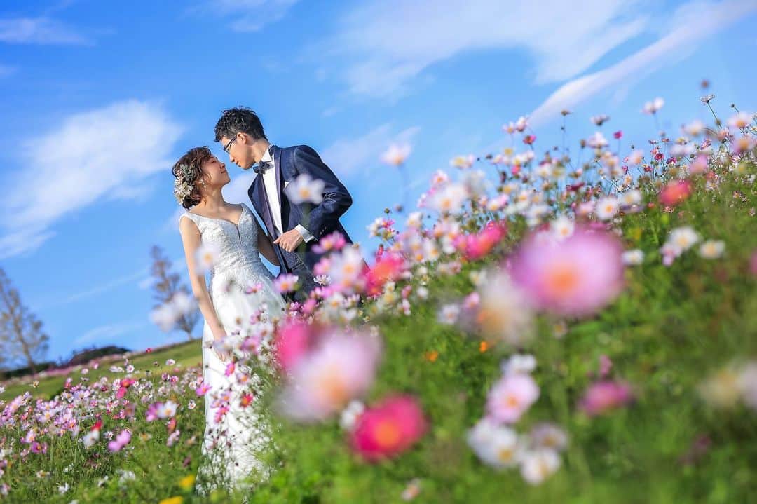 Decollte Wedding Photographyのインスタグラム：「【 淡路島 花さじき Awaji Iland, Hanasajiki 】Cute Cosmos flower field💓💓💓﻿ ﻿ ﻿ @studiotvb_kobe  @decollte_weddingphoto﻿ @decollte_weddingstyle﻿ ﻿ ﻿ #japan #Kobe #awajishima  #cosmosflower #Decolltephotography #weddinginspiration #Weddingphotography #prewedding #weddingphoto #overseasprewedding #japaneseprewedding #japanwedding #landscapephotography #romantic #love #happiness #日本 #海外婚紗 #婚紗 #唯美 #신부 #웨딩 #웨딩사진」