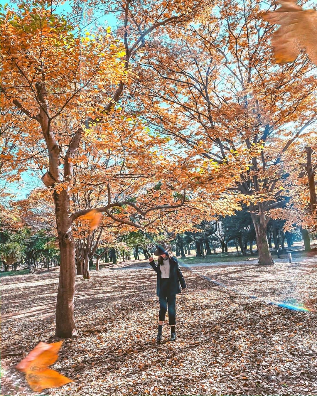 のインスタグラム：「Autumn leaves season in Tokyo🧡💛 . 代々木公園の紅葉🍁. まだまだ緑色の木も沢山あったので、 もうしばらくは続くのかな🙂✨. . .  #写真部 #写真 #代々木公園 #日常 #美しい #紅葉 #インスタグラマー #instagramjapan #ファインダー越しの私の世界 #ファインダー越しの世界  #lackofcolor  #wonderful_places #タビジョ #紅葉狩り #ig_japan #photo_japan #photo_jpn  #igersjp #beautifulmatters #moodygrams  #travelandleisure #インスタ映え #自然 #公園 #公園遊び #yoyogipark #ハット #落ち葉 #秋 #autumn」