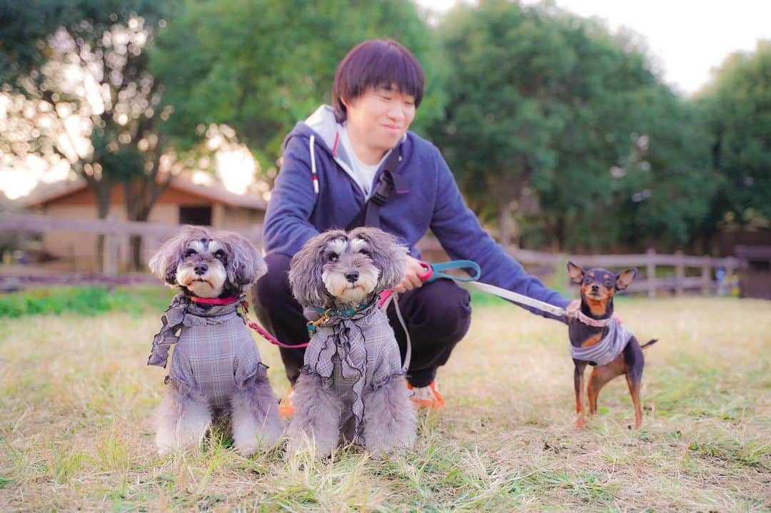 のインスタグラム：「⑅︎◡̈︎* ・ ちょんぴーちゃん &ドラゴン先生と一緒にこんばんワンʕ·͡ˑ·ཻʔෆ⃛ʕ•̫͡•ོʔ マーブルとイヴです♪ うふふっ♥︎︎∗︎*ﾟ ・ 昨日は、ピンフェス2019へ潜入して参りました！ ・ ママの大好きな漫画❤️「ぼくと三本足のちょんぴー」主人公のちょんぴーちゃんと作者の小田原ドラゴン先生と一緒にお写真撮らせて頂きました♪ ありがとうございました😊 ・ 三本足のハンディなんか全く関係なく楽しい日常とミニピンあるあるが描かれている漫画なんですが、シュナあるあるにも共通する涙あり笑いありのとっても共感できるシュナオーナーさんにもおすすめの本です◡̈⃝︎⋆︎* ・ #ピンフェス2019  #ぼくと三本足のちょんぴー  #イバライド  #わんこイベント  #ミニピン  #しゅなら部 #ミニチュアシュナウザー #ミニシュナ #シュナウザー #miniatureschnauzer #schnauzer #schnauzerofinstagram #schnauzer_lovers  #schnauzer_planet  #schnauzer_of_instagram  #schnauzer_feature  #雪纳瑞 #史納莎  #inulog #east_dog_japan #all_dog_japan  #todayswanko  #inutokyo  #dogsta #pecoいぬ部 #qpetいぬ部 #ペトこと犬部 #insta_dog #SonyAlphaAnimalPortrait」