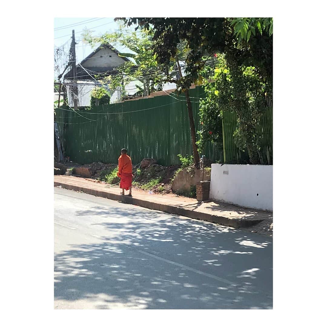 石橋静河さんのインスタグラム写真 - (石橋静河Instagram)「On the street of Luang Prabang, Laos 夢の国、ラオス🇱🇦」11月18日 19時49分 - shizuka_isbs