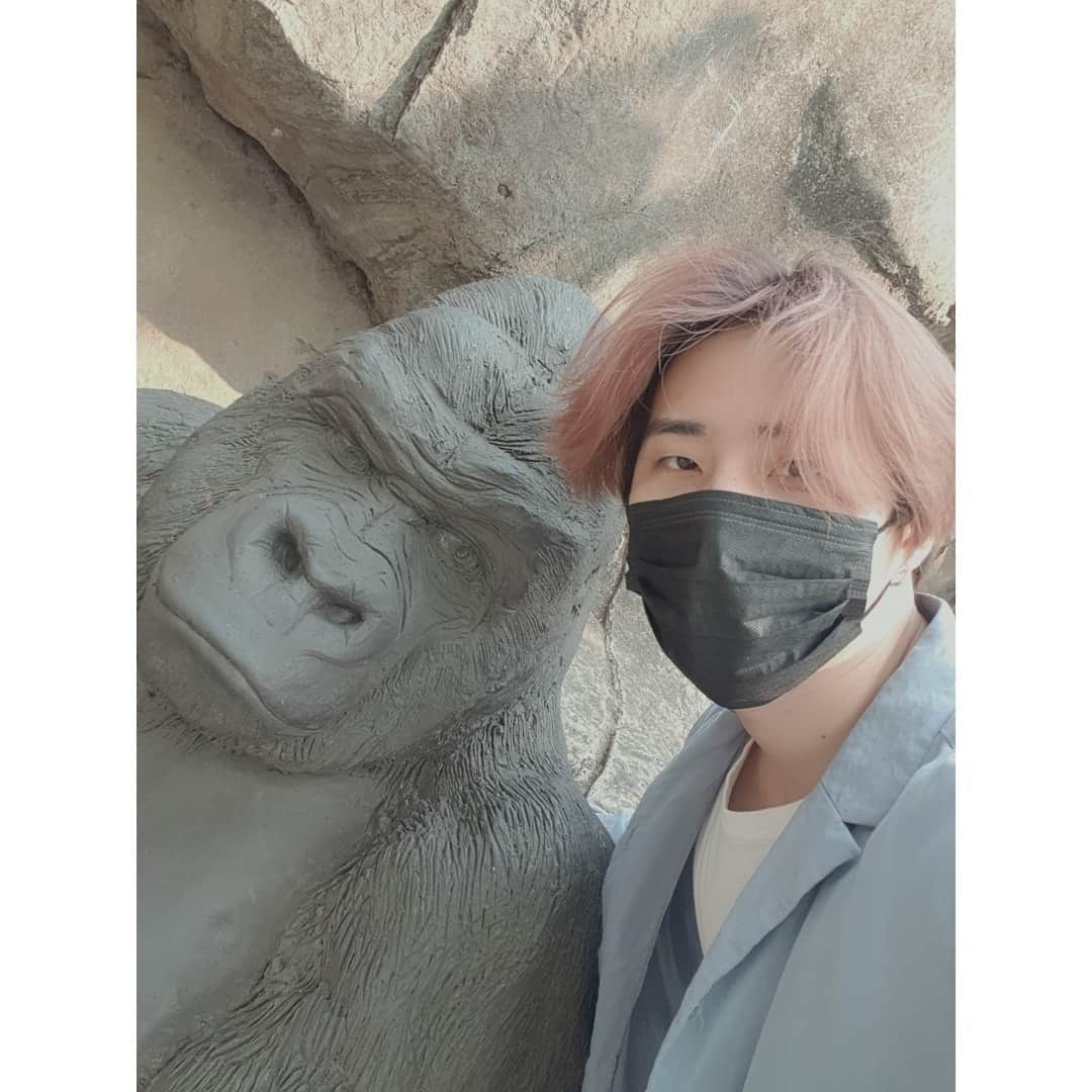 DAY6さんのインスタグラム写真 - (DAY6Instagram)「Thank you Australia for another amazing experience!! Hope you had a great time too! See you soon!!」11月18日 20時01分 - day6kilogram