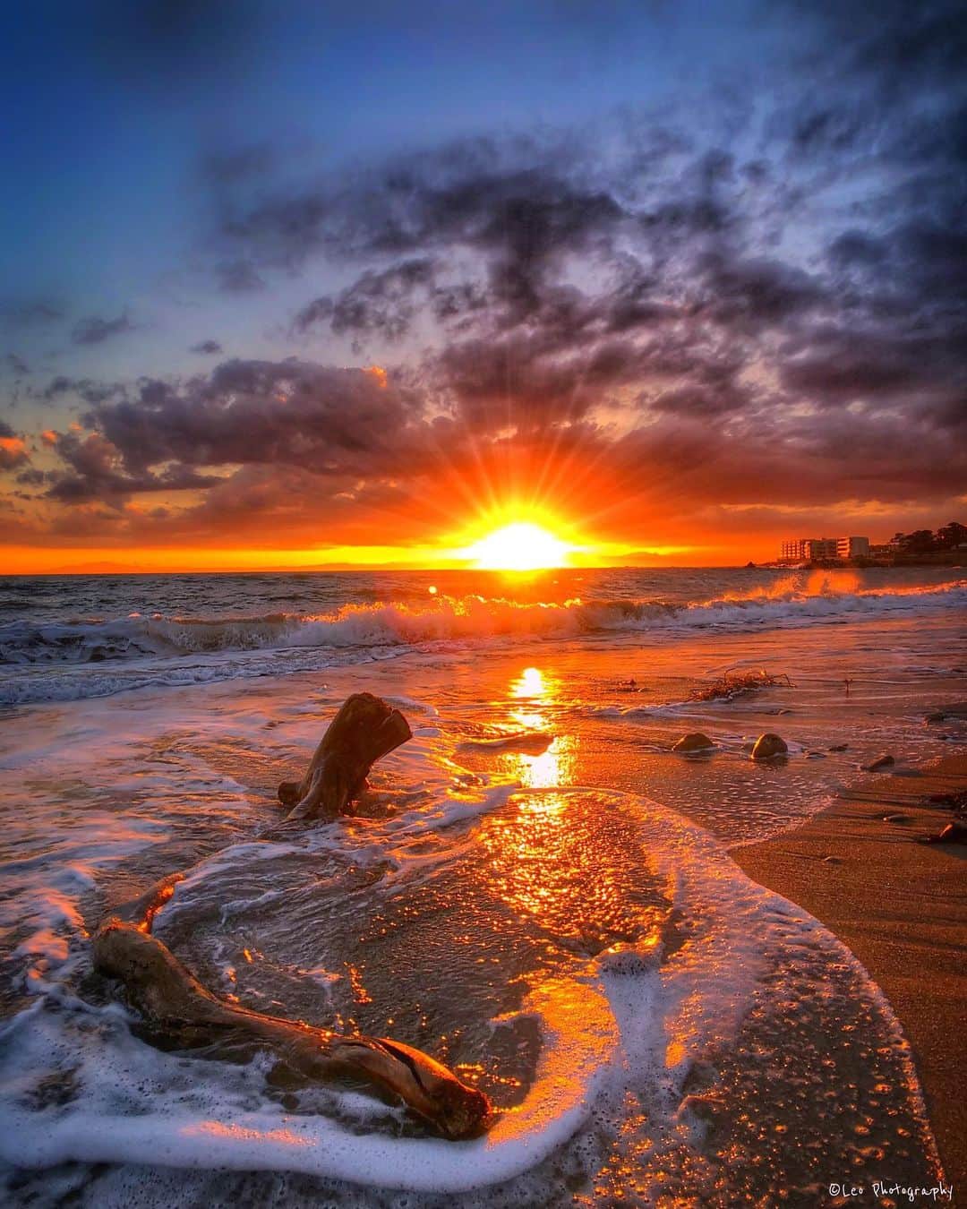 leo7000のインスタグラム：「絵になる流木🌄🌅 IG皆さん、今週もよろしくです😊✌🏻 今日もお疲れ様でした~♪ 🍺🍺✨」