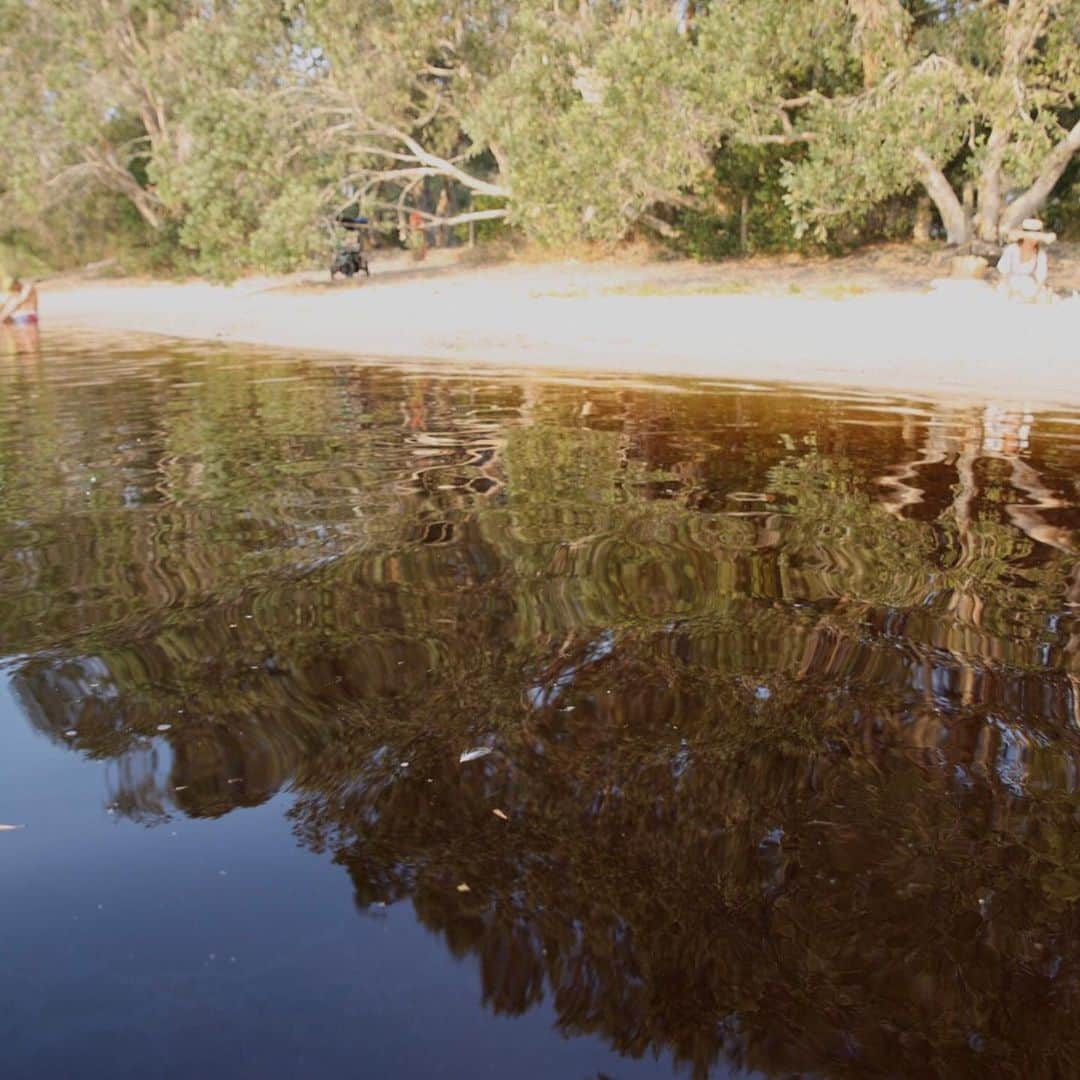 長谷川朋美さんのインスタグラム写真 - (長谷川朋美Instagram)「#バイロン ではオーストラリア随一のヒーリングスポットの湖、天然のアロマオイルが染み渡りブラウン色になっている湖、別名#ティートゥリーレイク へ✨ ・ 湖の周りにはなんとたくさんのティートゥリーの木が自生してして、その成分が湖に流れ出るため泳いだり浸かったりするだけでそのアロマオイルの効能を同時に楽しむことができるという❣️ ・ サンセットがこれまたとても神秘的でかなり癒されました🥰 ・ 頭から浸かって泳いだりピクニックしたり、 みんな帰りはティートゥリーのいい香りでしたよ🌈 ・ #amazingview #teatree #teatreelake #brownlake #aroma #healing #ヒーリング #癒し #sunset #retreat #selfretreat #セルフリトリート #自分と丁寧に向き合う週末セルフリトリート #lake #湖」11月18日 20時21分 - hasegawa.elena.tomomi