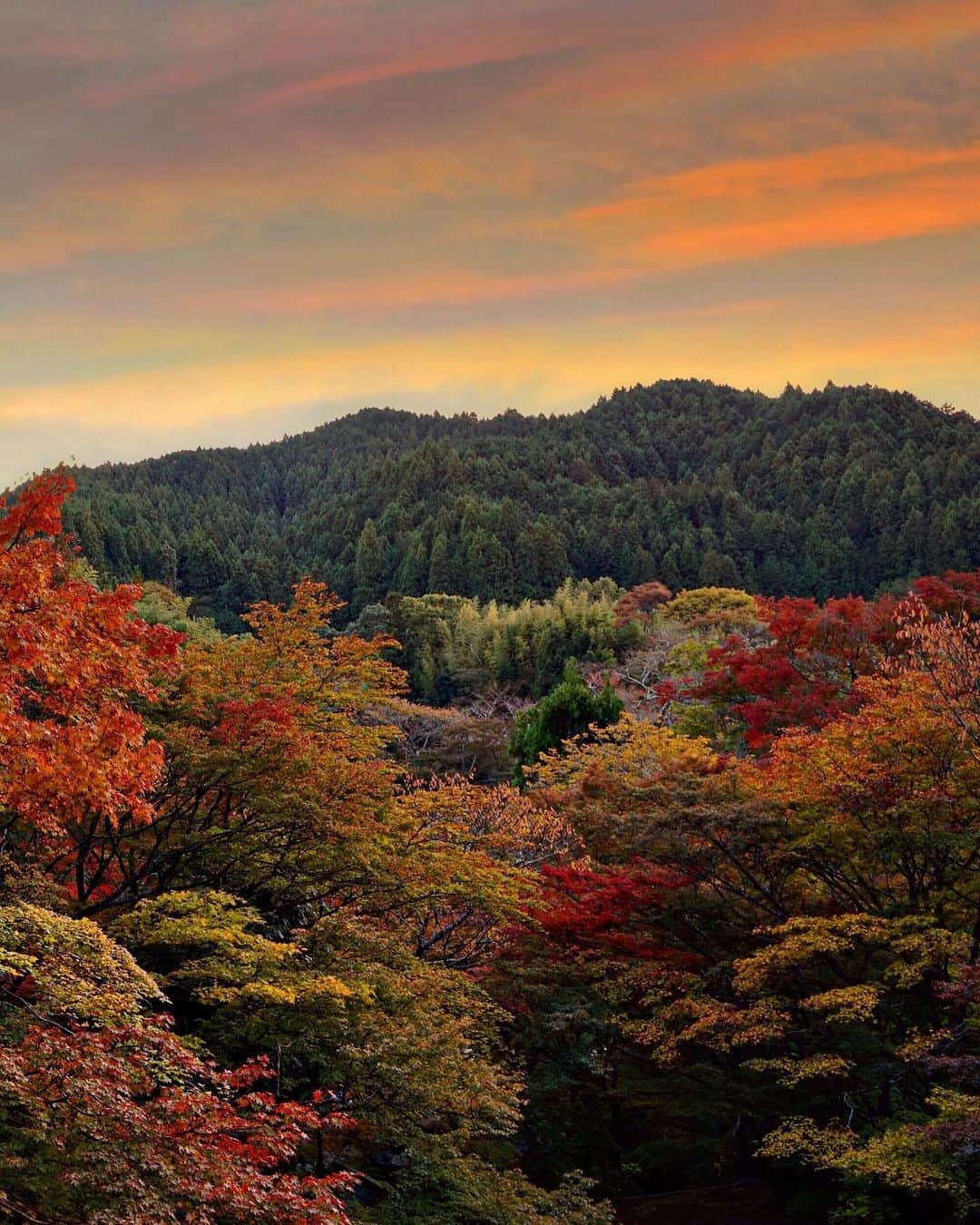 Koichiのインスタグラム：「| 🍁 Dusk colors in autumn . #BeautifulJapan #談山神社 #奈良 #Nara .」