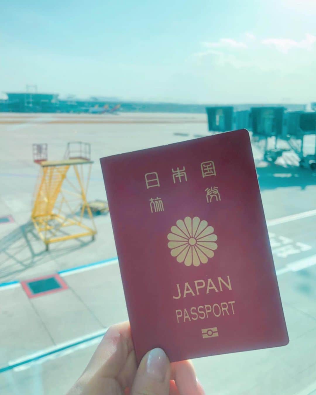 とぎもちのインスタグラム