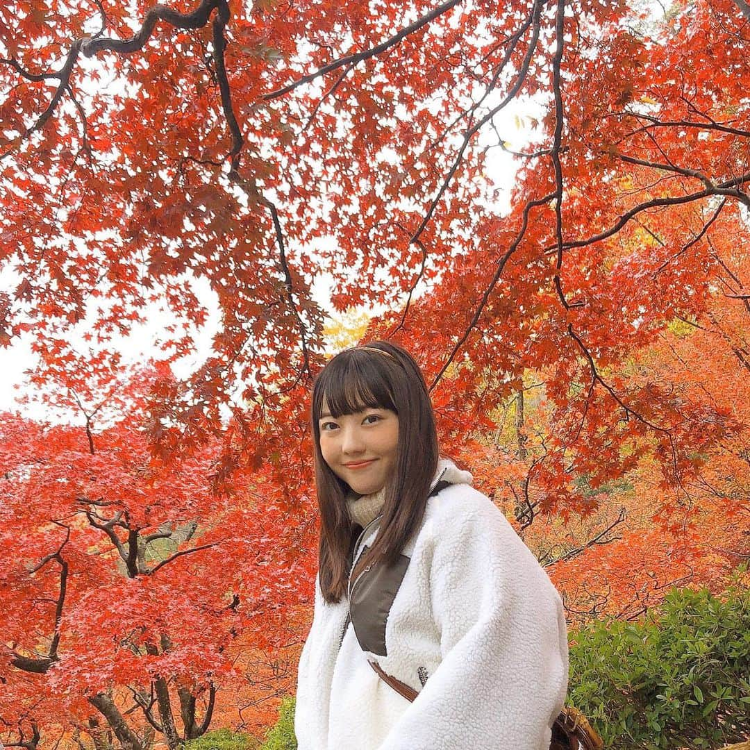 日下部愛菜さんのインスタグラム写真 - (日下部愛菜Instagram)「今年は見れました…☺️🍁 . #新潟 #弥彦 #紅葉」11月18日 20時48分 - aina_kusakabe