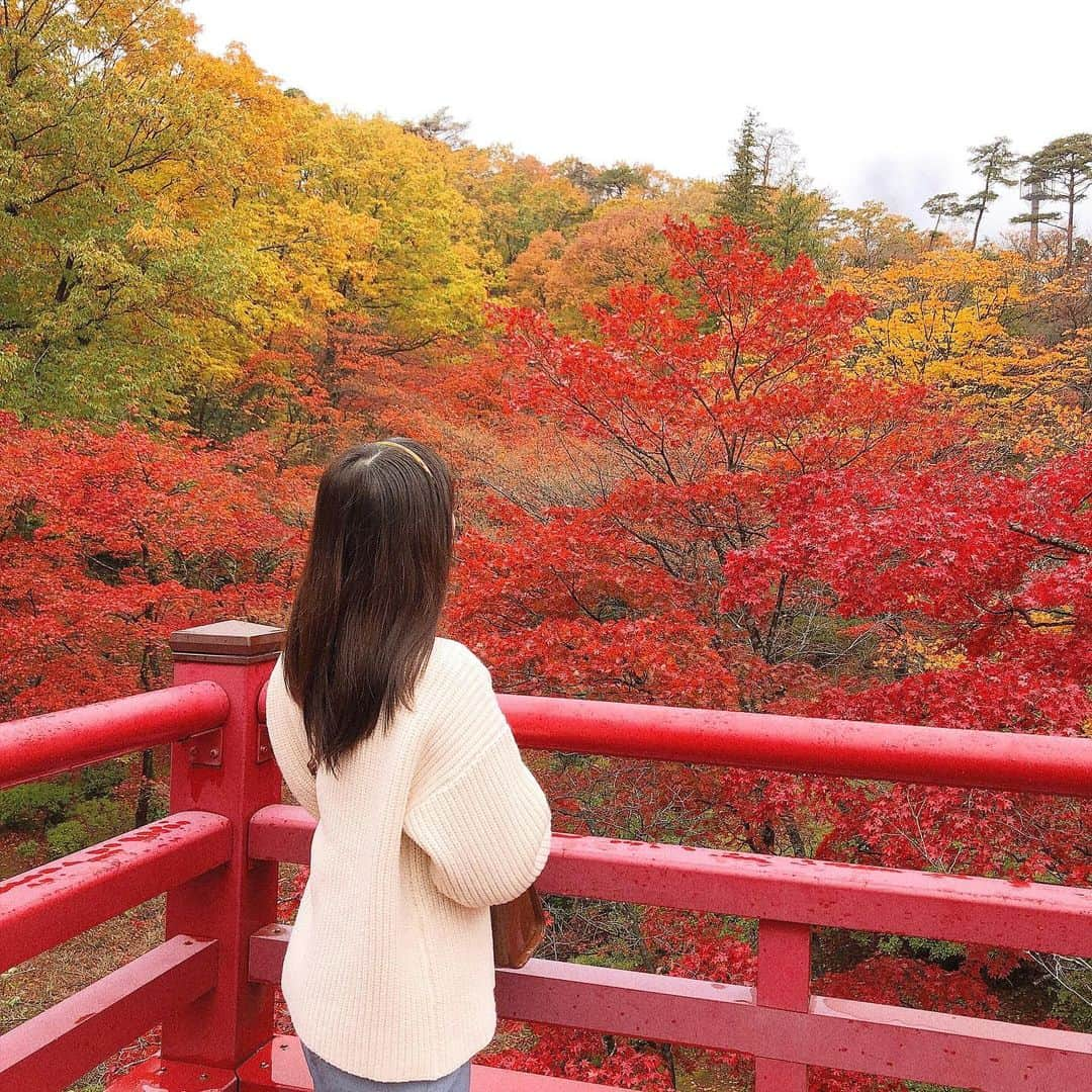 日下部愛菜さんのインスタグラム写真 - (日下部愛菜Instagram)「今年は見れました…☺️🍁 . #新潟 #弥彦 #紅葉」11月18日 20時48分 - aina_kusakabe