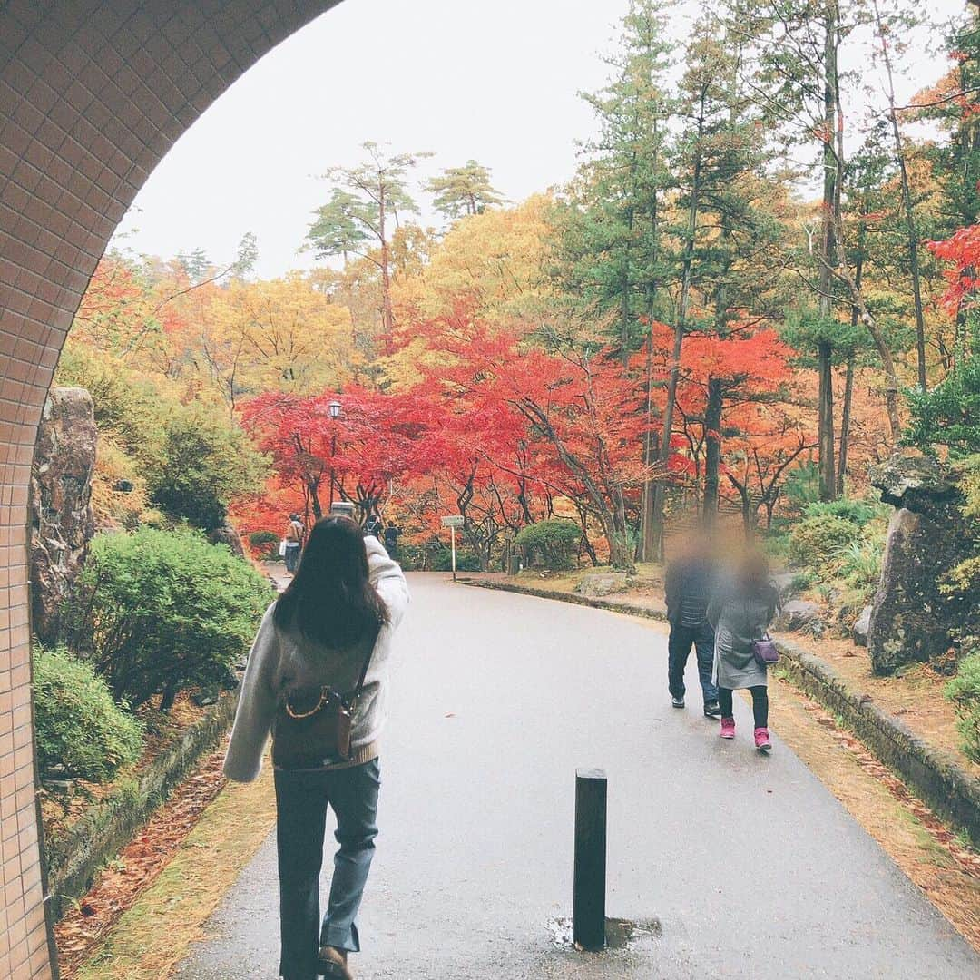 日下部愛菜さんのインスタグラム写真 - (日下部愛菜Instagram)「今年は見れました…☺️🍁 . #新潟 #弥彦 #紅葉」11月18日 20時48分 - aina_kusakabe