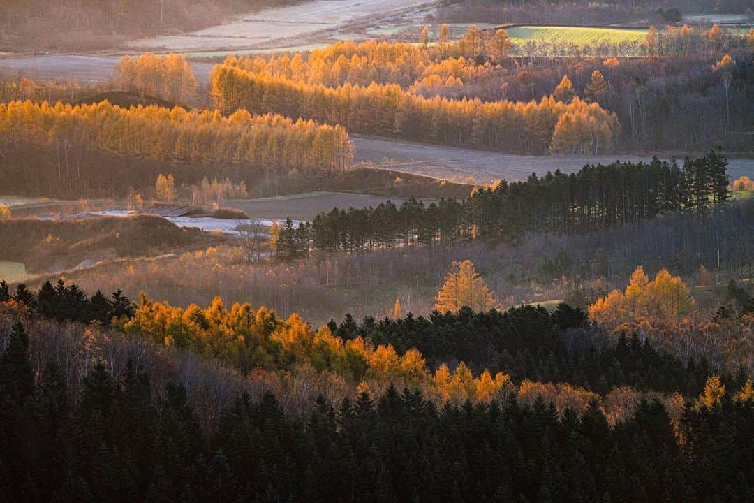 Hikaruのインスタグラム：「The landscape of some mornings. . . . #北海道 #本沢牧場 #instagramjapan #東京カメラ部 #tokyocameraclub #natgeospace #bealpha #SonyAlphasClub #pashadelic #team_jp #bestjapanpics #nationalgeographic」