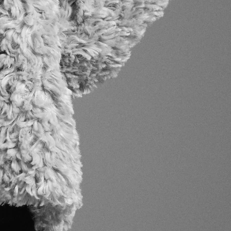 末吉秀太さんのインスタグラム写真 - (末吉秀太Instagram)「ㅤ 3DAYS  ㅤ ｢Armillary.」Produced by Shuta Sueyoshi　 2019 2nd Collection 11.21(THU) OPEN ㅤ official website armillary.jp ㅤ official instagram @armillary.official ㅤ #armillary #amly #アーミラリ」11月18日 21時47分 - shuta_sueyoshi_12.11