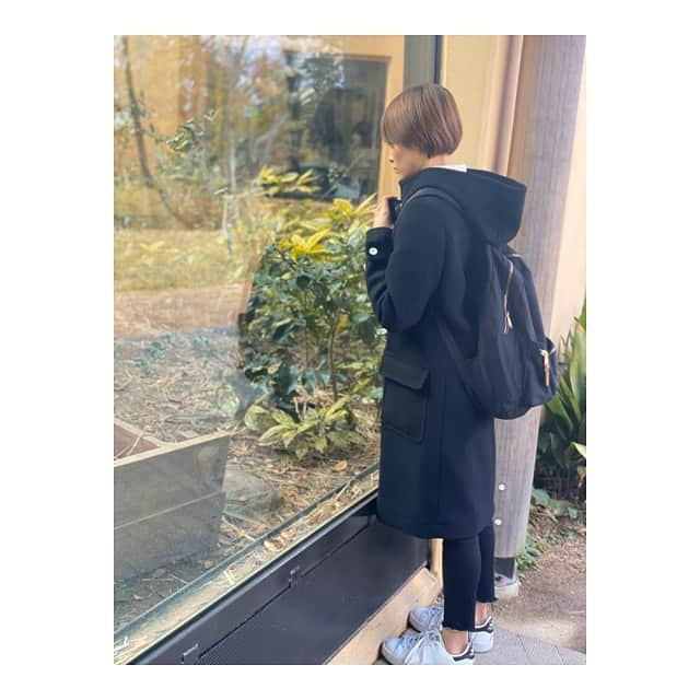 中山こころさんのインスタグラム写真 - (中山こころInstagram)「* こっち向け〜🥺🥺🥺 って念を送ってる（笑） 3枚目は何か仰いでるキツネザル🐒 ざわつく人間たち（笑） * #またゴリラ #お付き合いありがとうございます #猿好き #ゴリラ #キツネザル」11月18日 21時43分 - coocoorooo