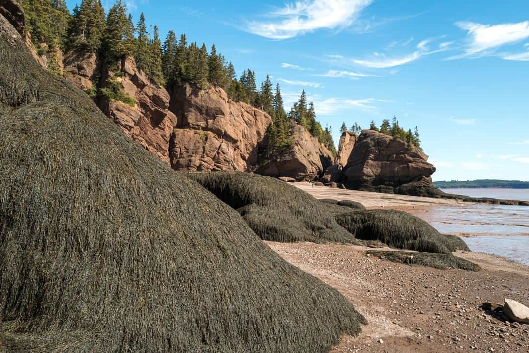 National Geographic Travelさんのインスタグラム写真 - (National Geographic TravelInstagram)「Photo by @christopheviseux | The Bay of Fundy is known to have some of the highest tides in the world. Hopewell Rocks Park is located on the eastern coast of Canada, in the province of New Brunswick. The tidal range averages between 13 and 16 meters, which is comparable to a four- or five-story building. At low tide, it is possible to walk on the ocean floor. Follow me @christopheviseux to see more images from around the world. #fundy #canada #tide」11月18日 22時08分 - natgeotravel