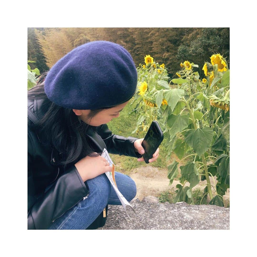 筒井莉子さんのインスタグラム写真 - (筒井莉子Instagram)「友達とひまわり園に行ってきた︎︎︎︎︎☺︎ . 綺麗すぎてびっくりした！！ 莉子より背の高い向日葵ばっかだし、撮るのに必死必死😅 . 花ってほーんと癒しやん♡ #ひまわり園 #佐賀県」11月18日 22時30分 - riko.02tsutsui