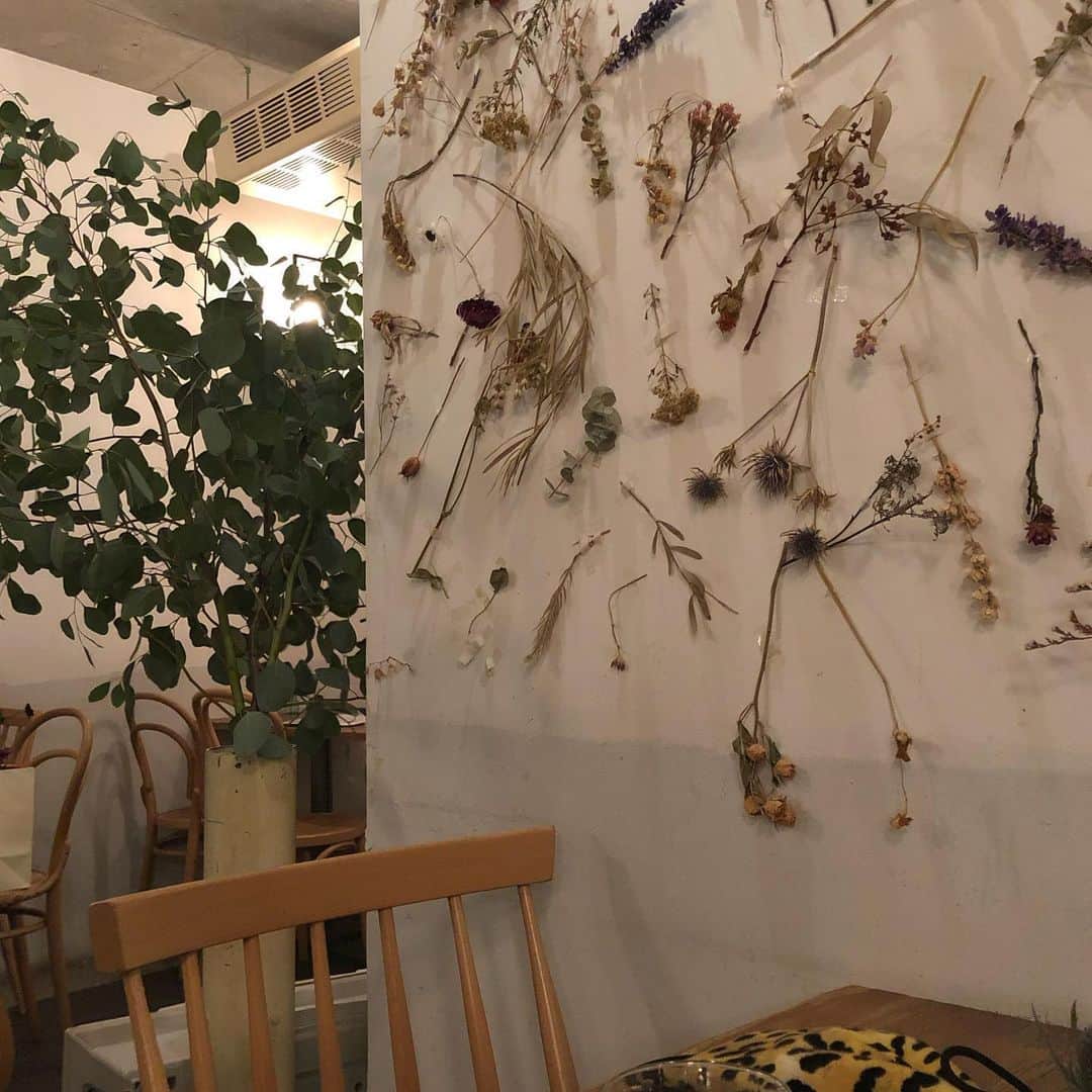 吉田佳菜のグルメインスタ