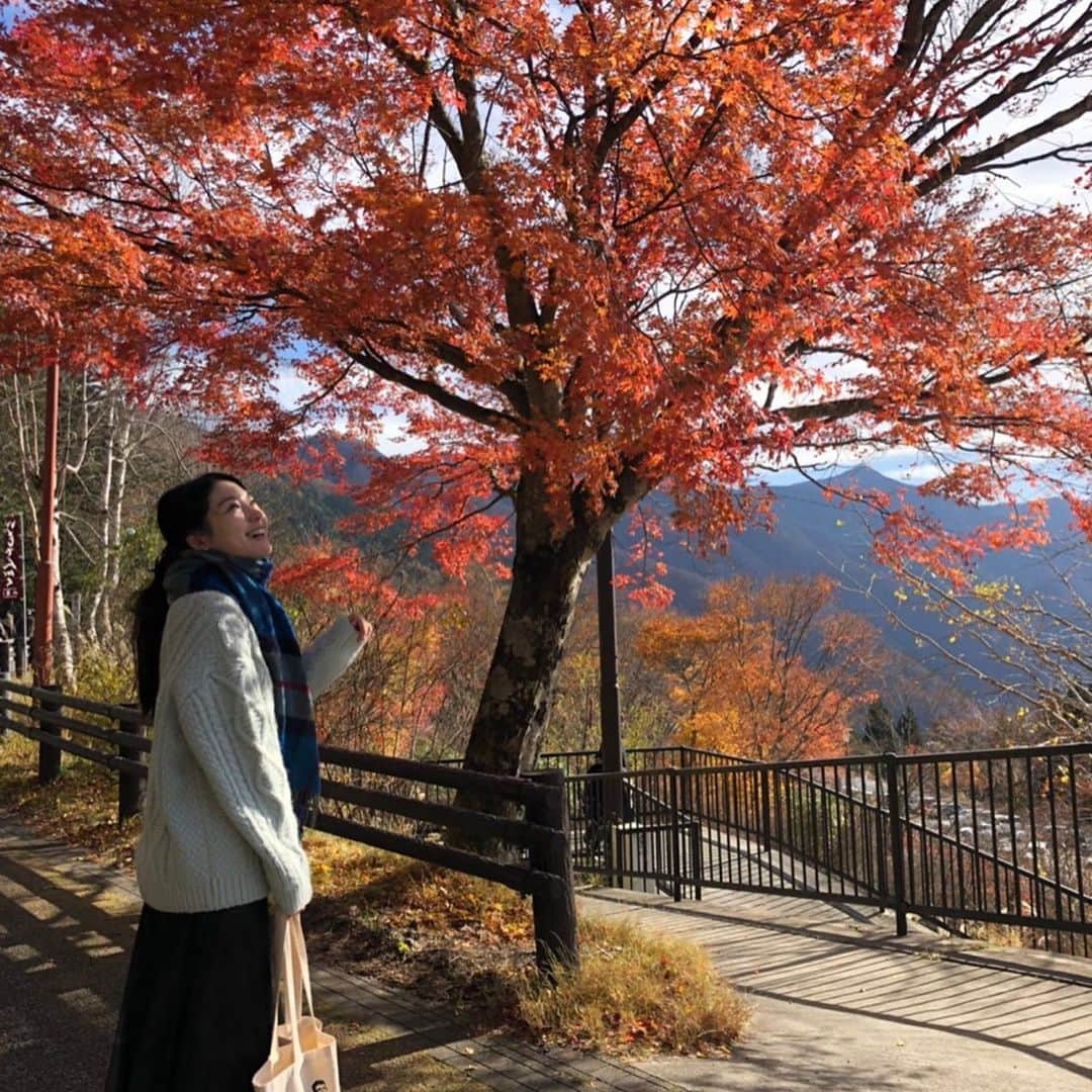 森貴美子のインスタグラム