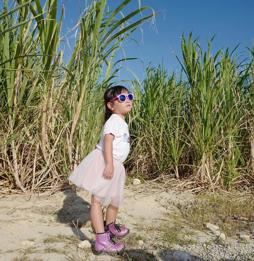 清水わかこさんのインスタグラム写真 - (清水わかこInstagram)「沖縄の大自然。 静かな場所に私たちだけ。 誰かと比べたりせず 自分たちの今を見つめ直して、、、 "今"すでに満たされていることに気づく。 そんなことを特に沖縄の北部はいつも教えてくれる。 . #leica #日夕佳 #沖縄 #沖縄旅行 #okinawa」11月18日 22時44分 - wakacham_