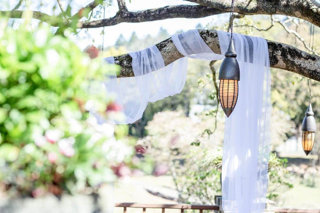 ザ・ヒルトップテラス奈良のグルメインスタ