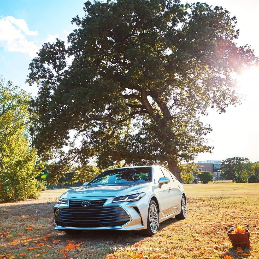 toyotausaさんのインスタグラム写真 - (toyotausaInstagram)「Fall never looked so good! #Avalon #Hybrid #LetsGoPlaces」11月18日 23時01分 - toyotausa