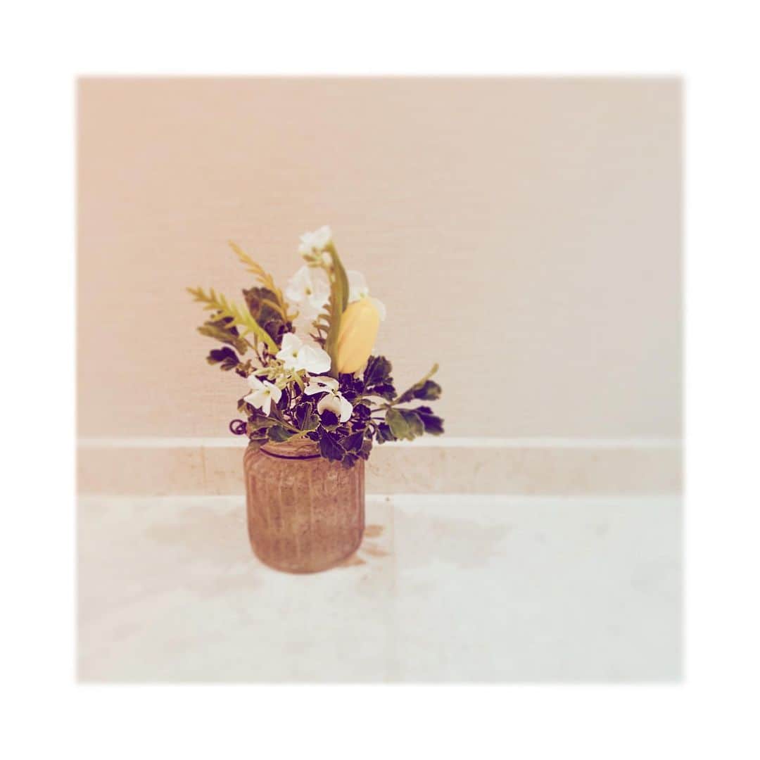 佐藤聡美さんのインスタグラム写真 - (佐藤聡美Instagram)「* * * お家にお迎えするお花を 選んでいる時間が 最近1番の癒しです…💐✨ * みなさんの癒しは、なんですか？？ * * * #flower  #お花  #お花のある暮らし  #花写真 #花を飾る  #癒し　#💐」11月18日 23時04分 - sugar_me58