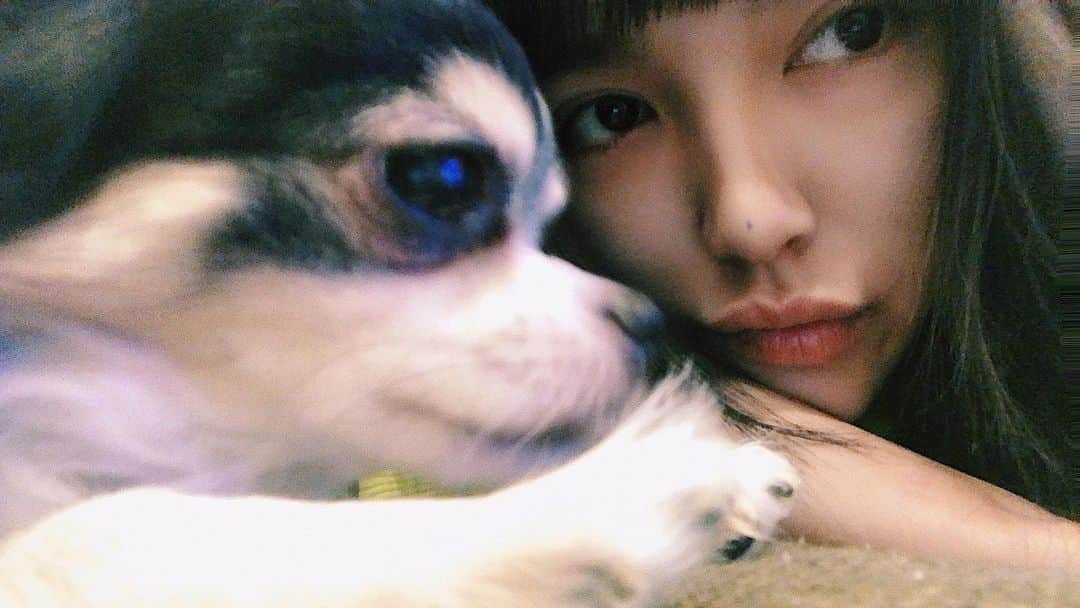 藤田杏奈さんのインスタグラム写真 - (藤田杏奈Instagram)「I’m totally into you🐶🖤🖤 . . .」11月18日 23時48分 - anna_fujita