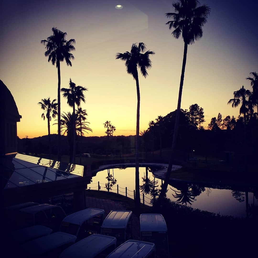上杉隆さんのインスタグラム写真 - (上杉隆Instagram)「#慕情 #palmtrees #golf #千葉県 #sunset #pond #japan🇯🇵 #ラヴィスタゴルフリゾート #広尾高校」11月18日 23時49分 - takashiuesugi