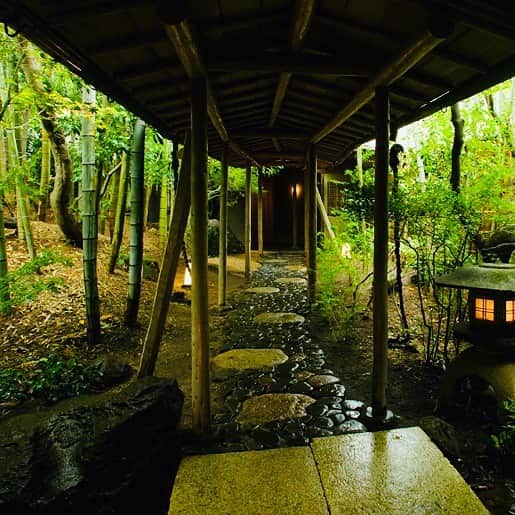 JAPAN TRIP 大人旅〜厳選の宿〜さんのインスタグラム写真 - (JAPAN TRIP 大人旅〜厳選の宿〜Instagram)「【JAPAN／RYOKAN】 #静岡 #修善寺 の#柳生の庄 です。  #大人旅_厳選の宿 #大人旅jp #そうだ旅に出よう #旅行 #露天風呂 #温泉 #旅館 #ホテル #大人旅 #女子旅 #国内旅行 #旅フォト #旅行好きな人と繋がりたい #otonatabi #japan #japantrip #japantravel #trip #travel #onsen #ryokan #hotel #hotsprings #beautifuljapan #lovejapan #ig_japan #instajapan」11月18日 23時47分 - otonatabi_jpn