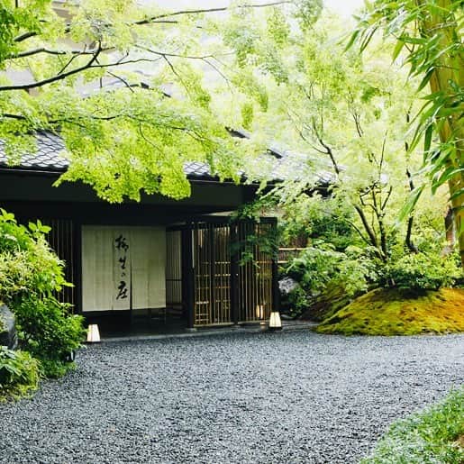 JAPAN TRIP 大人旅〜厳選の宿〜さんのインスタグラム写真 - (JAPAN TRIP 大人旅〜厳選の宿〜Instagram)「【JAPAN／RYOKAN】 #静岡 #修善寺 の#柳生の庄 です。  #大人旅_厳選の宿 #大人旅jp #そうだ旅に出よう #旅行 #露天風呂 #温泉 #旅館 #ホテル #大人旅 #女子旅 #国内旅行 #旅フォト #旅行好きな人と繋がりたい #otonatabi #japan #japantrip #japantravel #trip #travel #onsen #ryokan #hotel #hotsprings #beautifuljapan #lovejapan #ig_japan #instajapan」11月18日 23時47分 - otonatabi_jpn