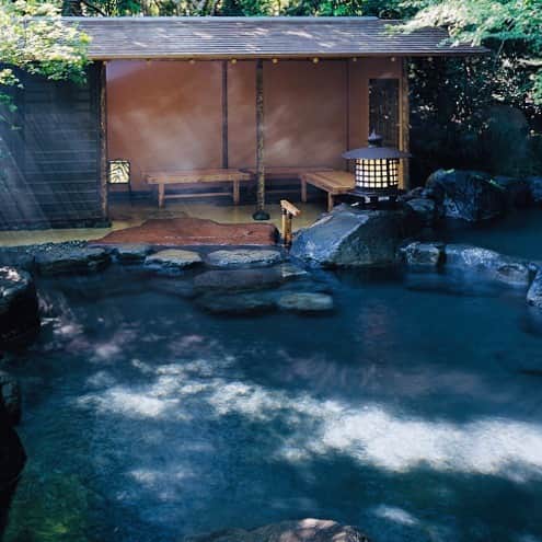 JAPAN TRIP 大人旅〜厳選の宿〜さんのインスタグラム写真 - (JAPAN TRIP 大人旅〜厳選の宿〜Instagram)「【JAPAN／RYOKAN】 #静岡 #修善寺 の#柳生の庄 です。  #大人旅_厳選の宿 #大人旅jp #そうだ旅に出よう #旅行 #露天風呂 #温泉 #旅館 #ホテル #大人旅 #女子旅 #国内旅行 #旅フォト #旅行好きな人と繋がりたい #otonatabi #japan #japantrip #japantravel #trip #travel #onsen #ryokan #hotel #hotsprings #beautifuljapan #lovejapan #ig_japan #instajapan」11月18日 23時47分 - otonatabi_jpn