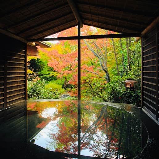 JAPAN TRIP 大人旅〜厳選の宿〜さんのインスタグラム写真 - (JAPAN TRIP 大人旅〜厳選の宿〜Instagram)「【JAPAN／RYOKAN】 #静岡 #修善寺 の#柳生の庄 です。  #大人旅_厳選の宿 #大人旅jp #そうだ旅に出よう #旅行 #露天風呂 #温泉 #旅館 #ホテル #大人旅 #女子旅 #国内旅行 #旅フォト #旅行好きな人と繋がりたい #otonatabi #japan #japantrip #japantravel #trip #travel #onsen #ryokan #hotel #hotsprings #beautifuljapan #lovejapan #ig_japan #instajapan」11月18日 23時47分 - otonatabi_jpn