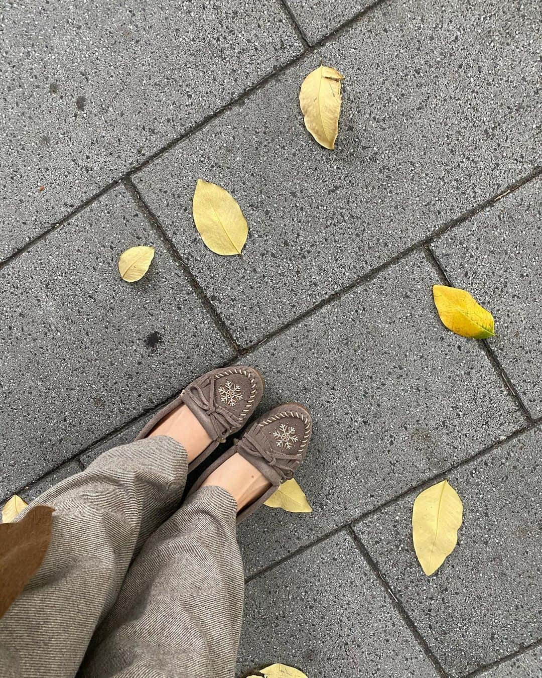 Grace葛瑞瑞さんのインスタグラム写真 - (Grace葛瑞瑞Instagram)「最近好喜歡落葉🍂」11月18日 23時53分 - yungingrace