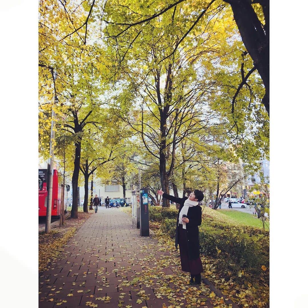 相内優香さんのインスタグラム写真 - (相内優香Instagram)「ミュンヘンは街の中心部でも緑が多くて癒されます。 ちょうど紅葉が美しい季節ですね。  #Munich #紅葉」11月19日 0時30分 - yuuka_aiuchi