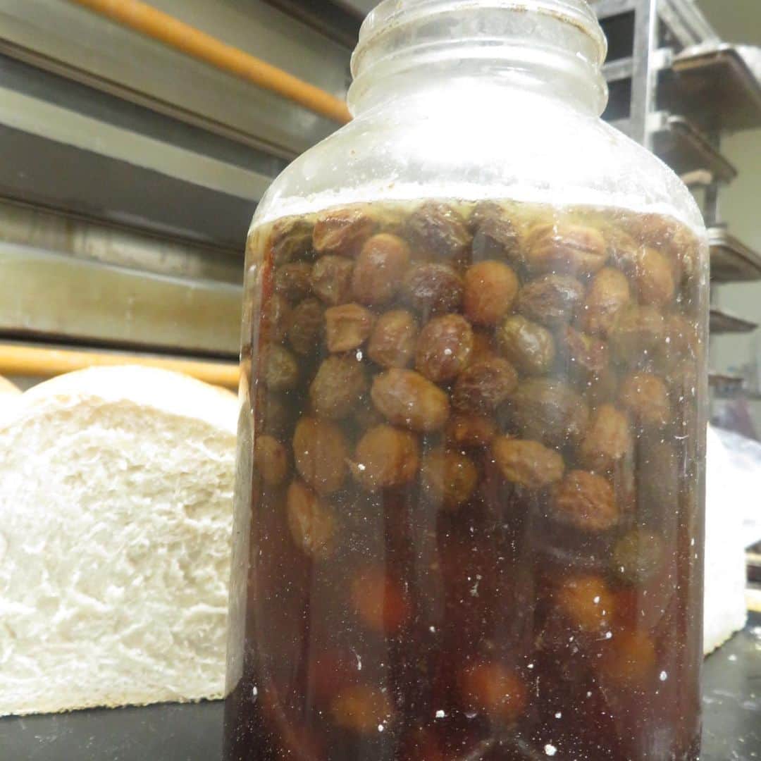 魔女菅原のグルメインスタ