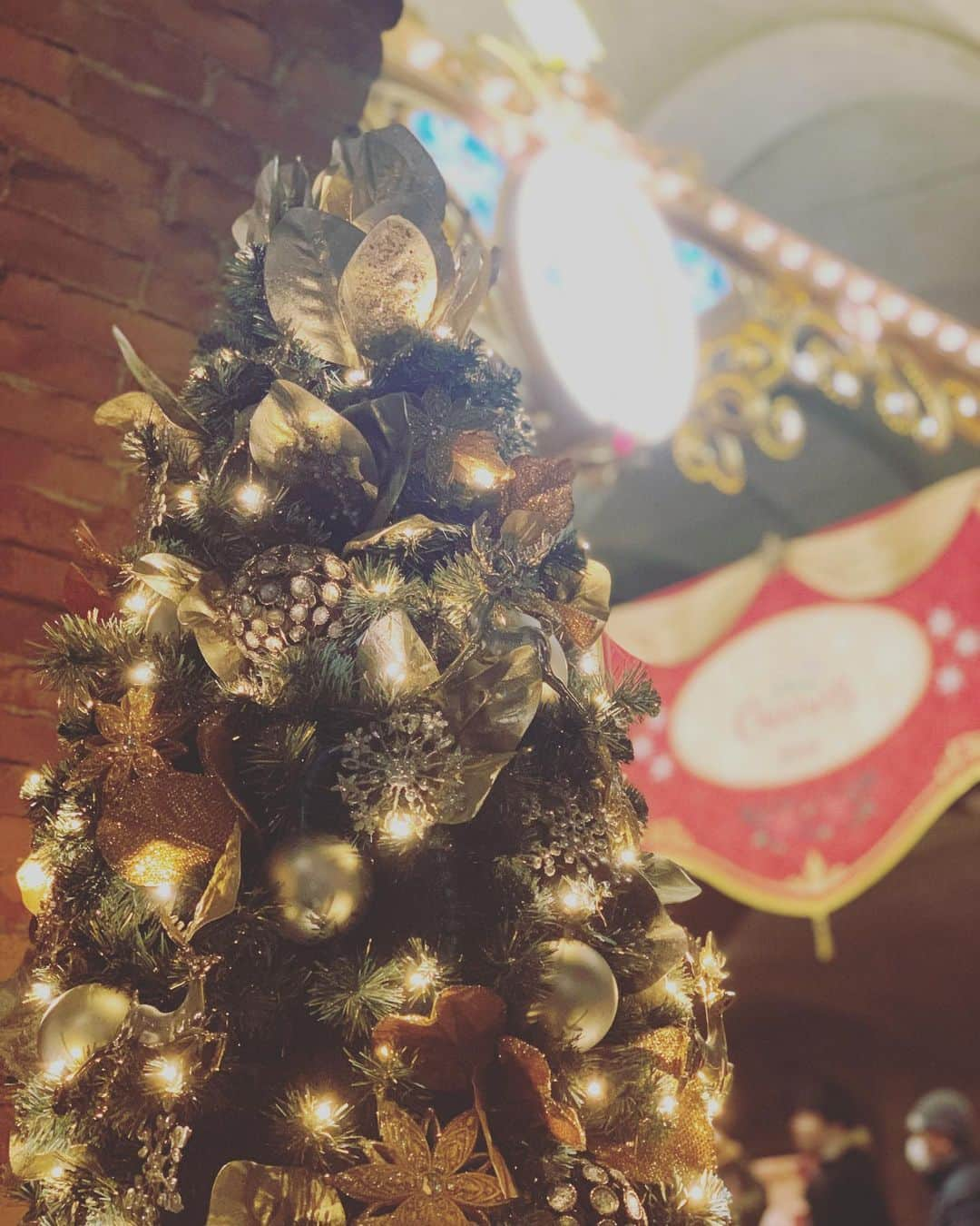 梅原玲奈さんのインスタグラム写真 - (梅原玲奈Instagram)「ひと足早くクリスマス🎄 充電完了👍 お仕事がんばるぞ！ #earlychristmas  #recharge」11月19日 10時20分 - reina_umehara