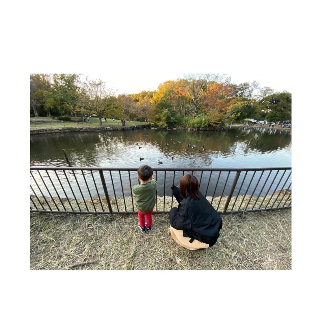 鈴木亜美さんのインスタグラム写真 - (鈴木亜美Instagram)「街へ出ればクリスマスイルミネーション🎄🎅 公園へ行けば紅葉🍁 前は夏が大好きで、秋冬の良さが身に染みなかったけど、少し厚着をして寒い〰なんて言いながらお出かけするのが好きになりました🐣子供がいると、それまでの世界観とまるで違う。 見えなかったことが見えてくる、人の優しさ冷たさ、環境の良し悪しもね。 まぁそれはいいとして…季節が変われば子供も成長してる、だから冬でも喜べるんだな⛄️ #2歳僕ちん #もうすぐ3歳 #もうすぐお兄ちゃん #マタニティライフ #ママスタグラム #アタと雪の女王にハマり中 #美人が好きみたい #映画もみる言ってる #22日から」11月19日 11時19分 - amiamisuzuki