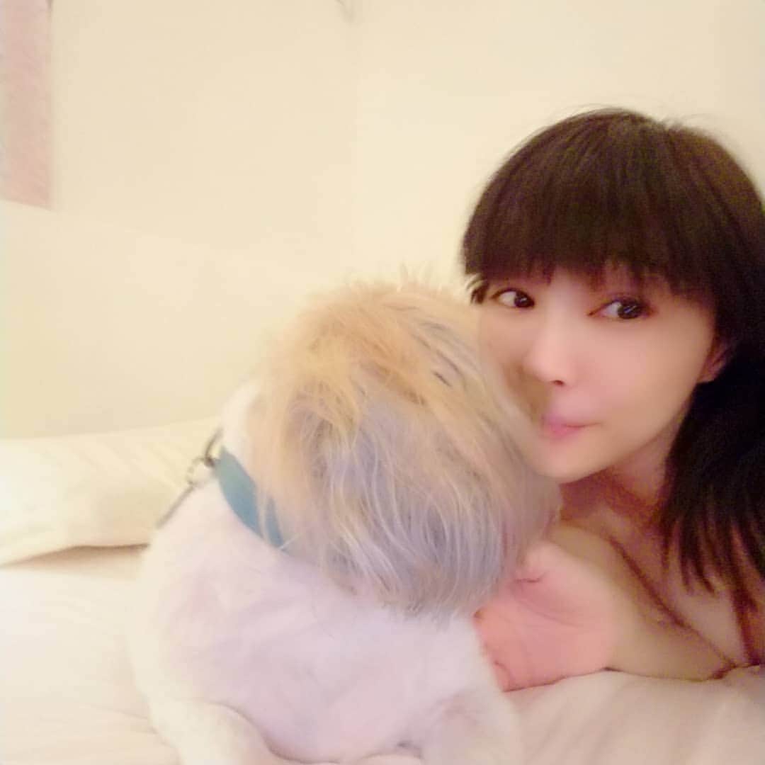 松坂南さんのインスタグラム写真 - (松坂南Instagram)「こちらは、シェルさま🐕💕 チューショット💏(笑)  #犬の日 に撮りました」11月19日 2時57分 - minami_matsuzaka
