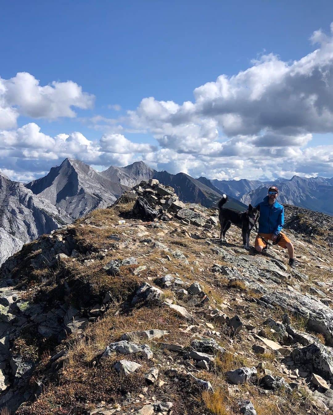 オボズさんのインスタグラム写真 - (オボズInstagram)「Celebrating this #RuffMonday with a shout out to Evy, who conquered her first-ever 'peak-bag'! One of the many mountain hikes around where she lives in Canmore, Alberta, Pigeon Mountain sits at 2,394m (7854ft). It's a 15,5km in-and-back, 1,060m elevation gain hike.  Reports Bexx, her human, "She had a blast!" Here, she's soaking in the views before the week ahead. 📷: @this_is_bexx . . .  #dogsofoboz #officedogs #workdogs #outdoordogs #hikingwithdogs #hiking #alberta #canada」11月19日 3時46分 - obozfootwear