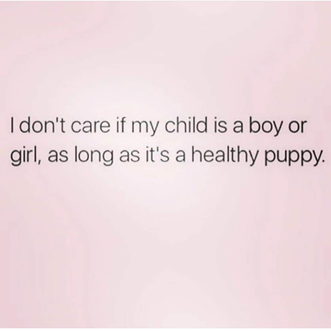 Alexia Clarkさんのインスタグラム写真 - (Alexia ClarkInstagram)「Should I get another baby? 😍😍😍🐶🐶🐶 www.alexia-clark.com  #alexiaclark #queenofworkouts #queenteam #queen2019 #fitness #puppy #dogsofinstagram #fitforHisreason」11月19日 4時55分 - alexia_clark