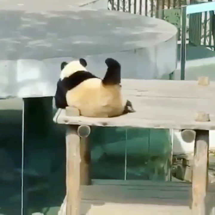 メイヤー・ホーソーンのインスタグラム：「Just a friendly reminder that my new jam “Over” is out everywhere and it’s causing panda-monium.」