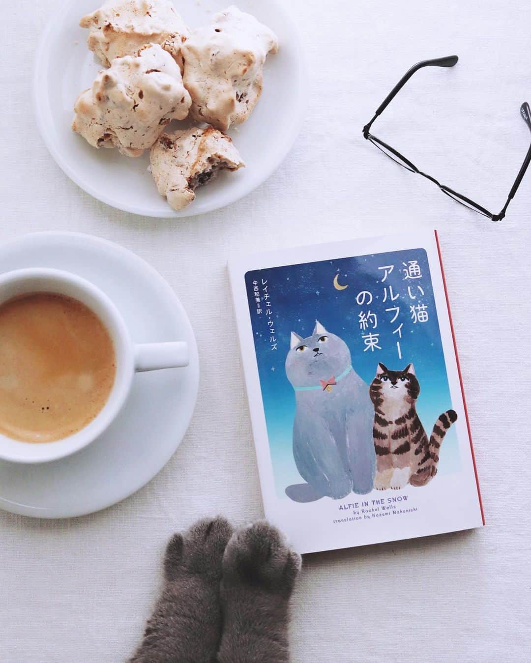 樋口正樹さんのインスタグラム写真 - (樋口正樹Instagram)「Brutti ma buoni . 朝読書にアルフィ新刊、 コーヒーとボナさんと、 不細工なメレンゲ菓子 ブルッティマブォーニ。 . 通い猫アルフィ新刊は 涙のお話、らしいです。 この機会に全５刊ぜひ！ 👉@kayoinekoalfie . ２枚目はおまけで、 #バビブベボナさん の ボナさんの可愛い一枚。 . . #Bruttimabuoni #バビブベボナさん #ブルッティマブォーニ #おやつとボナさん #通い猫アルフィーの約束 #通い猫アルフィー #alfiethedoorstepcat #britishshorthair #bonahiguchi #ねこ部 #ブリショー #ブリティッシュショートヘア #猫と暮らす #猫のいる暮らし #みんねこ #ペコねこ部 #catoftheday #catlovers」11月19日 7時18分 - higuccini