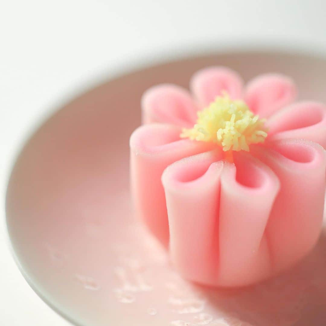 Toru Tsuchieのグルメインスタ